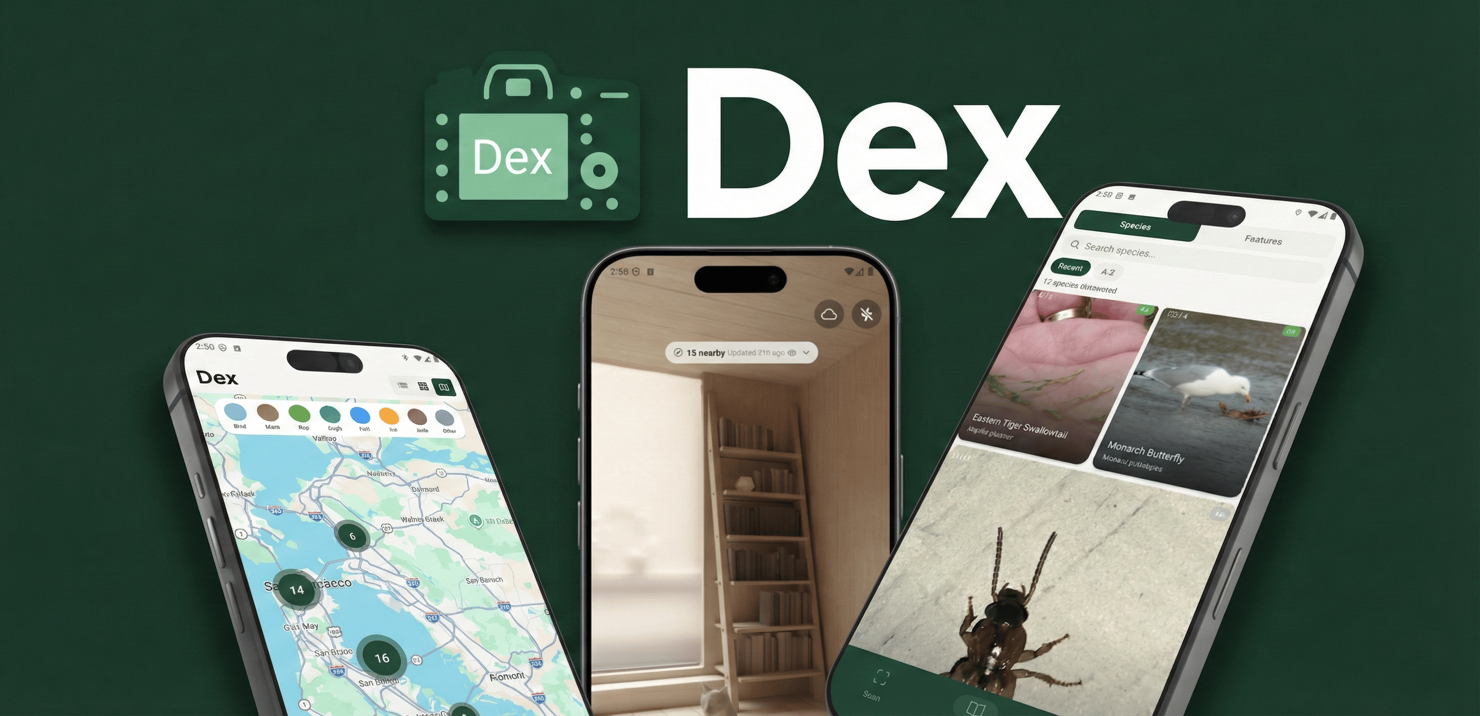RealDex