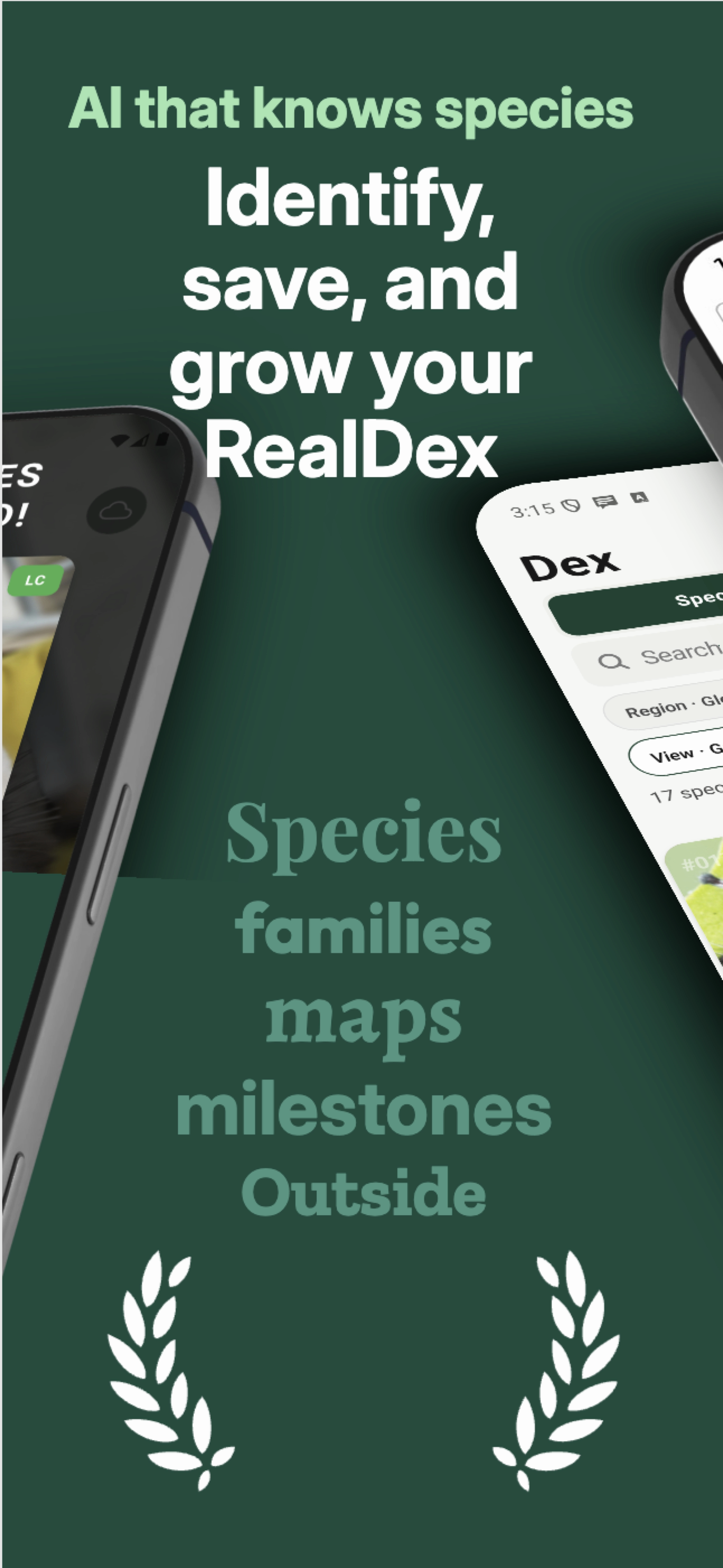 RealDex screenshot 3