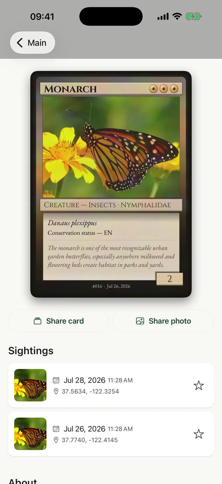 Uma borboleta-monarca representada como carta colecionável no RealDex, com o nome binomial Danaus plexippus e estado de conservação Em Perigo.