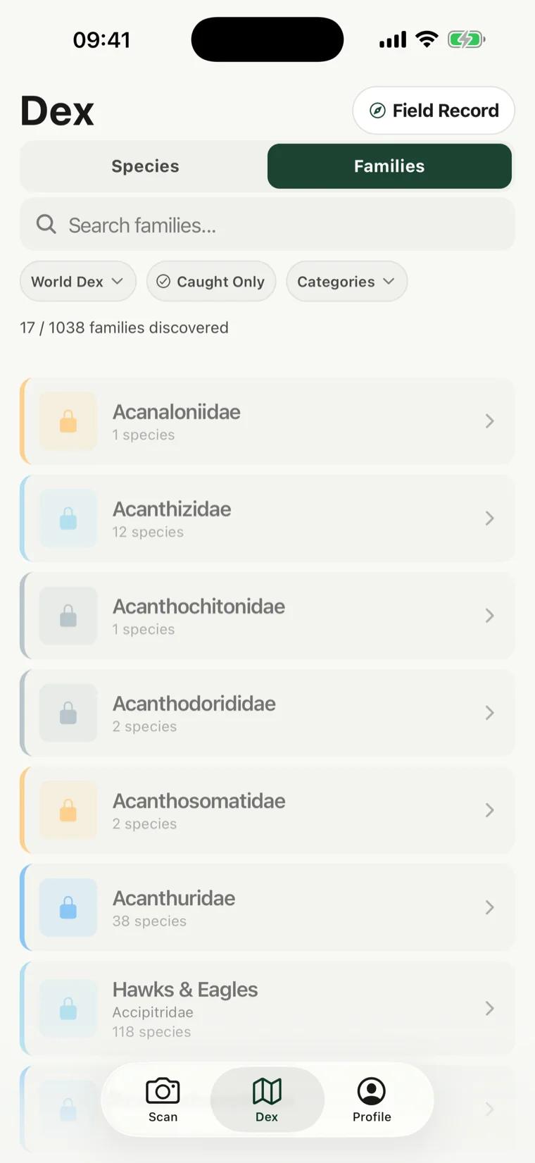 O separador Famílias no RealDex a indicar 17 de 1038 famílias descobertas, listando famílias como Acanthizidae e Águias e Falcões com o número de espécies.