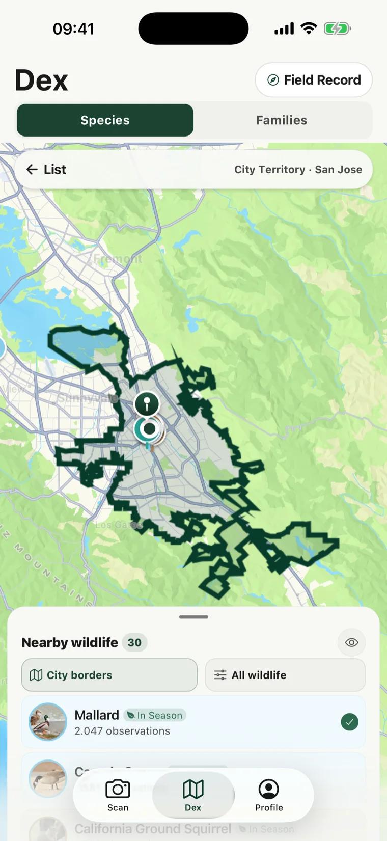 Um mapa de San Jose no RealDex com o limite real da cidade desenhado sobre ele e alfinetes de avistamento agrupados dentro da fronteira.